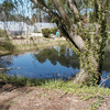 Retaining Ponds 1