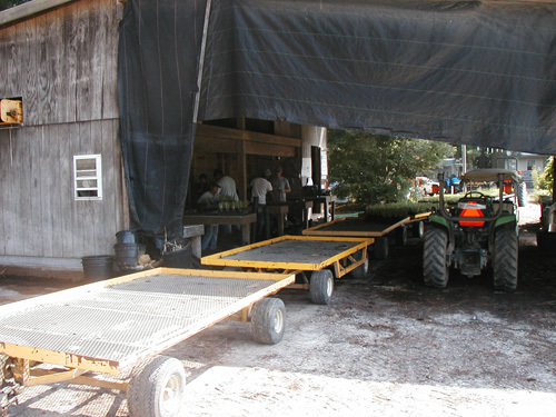 Potting Shed 1