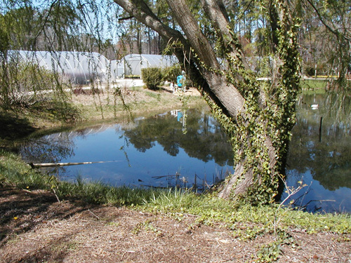 Retaining Ponds 1