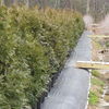 James Farm 10
