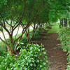 Around The Farm 5