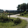 Around The Farm 11