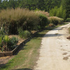Around The Farm 13
