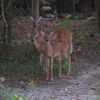 Around The Farm 14