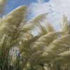 Around The Farm 15