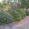 Around The Farm 16