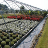 Production Fields 17