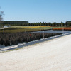 James Farm 7
