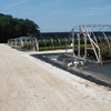 James Farm 8