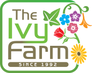 The Ivy Farm